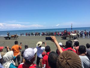 Keseruan Gerobak Race di Fesitval Kayumaloa Pasangkayu