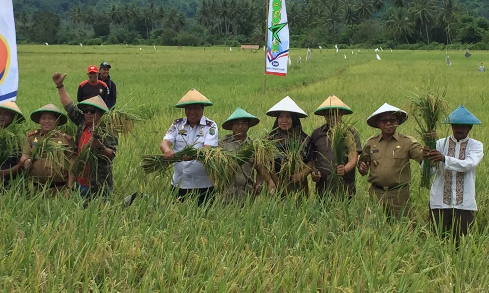 Bupati Pasangkayu Tetapkan Agro Smart di Desa Pangiang