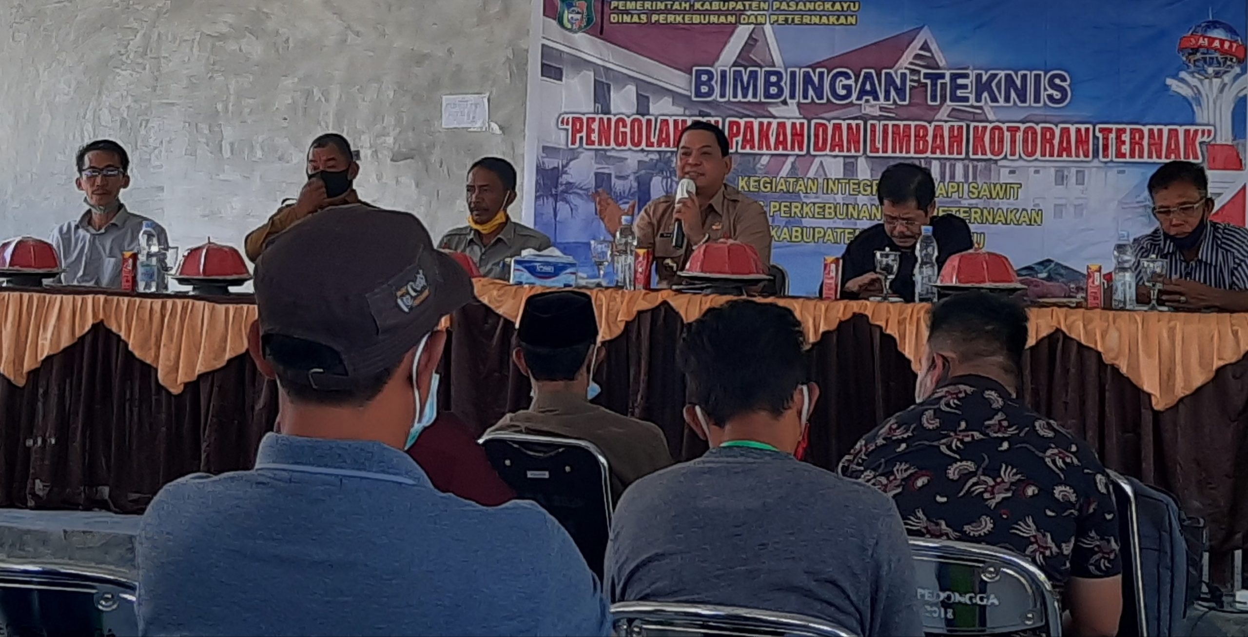 Peternak Pasangkayu Siapkan Diri Sambut Ibu Kota Baru