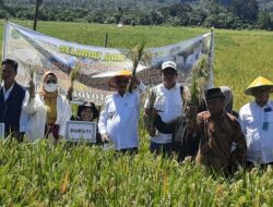Pesta Panen dan Program Smart Tani