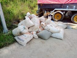 KPH Mamasa,  Amankan 8 Ton Geta Pinus Tak Berdokumen.
