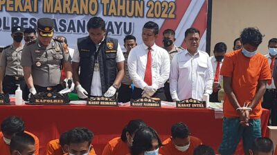 Kakak-Adik Jadi Korban Perkosaan, Ini Tindakan Dinas P3AP2KB Pasangkayu