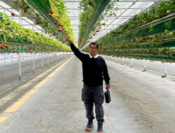 Akmal Malik Kunjungi Korea Selatan, Pelajari Sistem Smart Farming dan Pelayanan Kesehatan Masyarakat