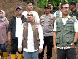 BNPB Serahkan Bantuan Banjir dan Longsor di Mamuju