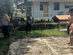 Diduga Curi TBS Sawit Perusahaan di Tommo, 3 Pelaku Ditangkap Polisi