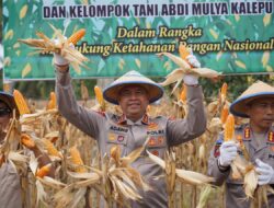Expo dan Panen Raya di Tommo: Kapolda Sulbar Dorong Peningkatan Pertanian Lewat Pendekatan Keamanan Pangan