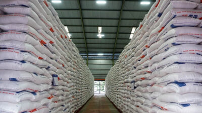 Stok Beras Capai 3,8 Juta Ton, Indonesia Kian Dekat Wujudkan Swasembada Pangan