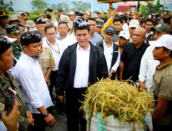 Dorong Produksi Padi Nasional, Mentan Amran Targetkan Luwu Timur Tanam Padi Empat Kali Setahun