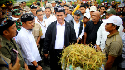 Dorong Produksi Padi Nasional, Mentan Amran Targetkan Luwu Timur Tanam Padi Empat Kali Setahun