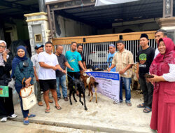Pemprov Sulbar Salurkan Bantuan Ternak Kambing 1.870 Ekor untuk Peternak Lokal di Lima Kabupaten