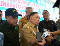 Wagub Sulbar Tinjau Pasar Pangan Murah, Harap Ringankan Beban Masyarakat