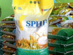 Bulog Segera Salurkan Beras SPHP, Kadis Ketapang: Sudah Mulai Mengemas, Kita Sama-sama Mengawasi