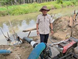 Ajbar, S.P Tinjau Langsung Kawasan Cetak Sawah di Desa Panyampa: Dorong Kolaborasi Pemerintah, Masyarakat, dan Swasta untuk Pertanian Mandiri