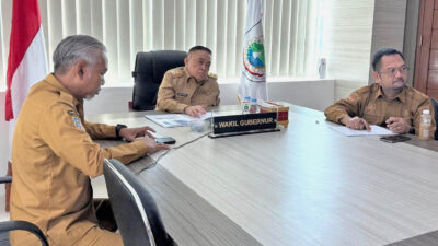 Dari Gula Aren Hingga Kakao, Wagub Sulbar Dorong UMKM Manfaatkan Potensi Lokal untuk Ekonomi Hijau