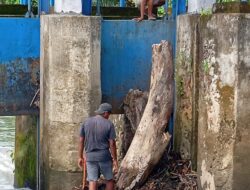 Respons Cepat dan Kolaboratif, Gangguan Irigasi di Bendung Bantalaka Pasangkayu Selesai Ditangani