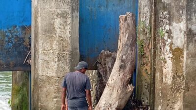 Respons Cepat dan Kolaboratif, Gangguan Irigasi di Bendung Bantalaka Pasangkayu Selesai Ditangani