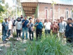 Disbun Sulbar Libatkan Kejati Perketat Pengawasan Bantuan Benih Kakao dan Pupuk Organik