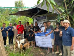 Inspektorat Sulbar Pantau Penyerahan 181 Ekor Bibit Kambing, Warga Antusias Sambut Bantuan Pemprov