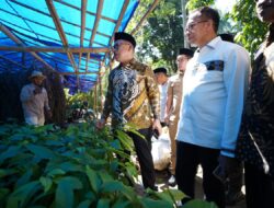 Gubernur SDK Cek Ukuran dan Sertifikat Bantuan untuk Petani, Bantuan Melebihi Ekspektasi