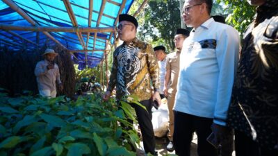 Gubernur SDK Cek Ukuran dan Sertifikat Bantuan untuk Petani, Bantuan Melebihi Ekspektasi