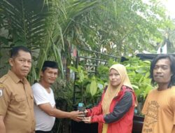 Rangkaian Festival Sandeq Teluk Mandar, Dinas Perkebunan Sulbar Siapkan Bantuan Benih Kakao