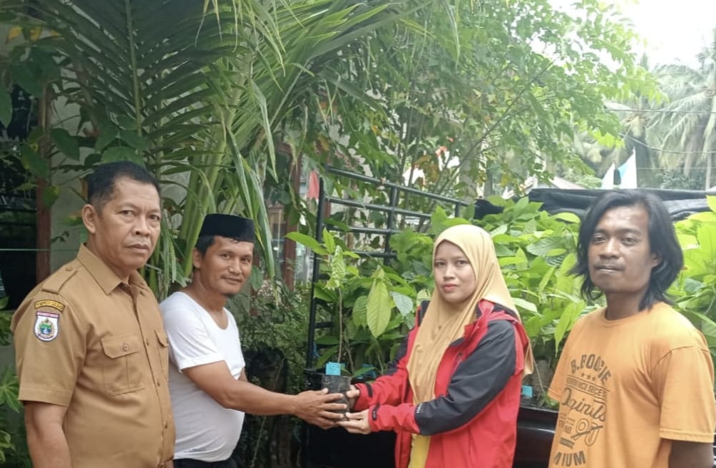 Rangkaian Festival Sandeq Teluk Mandar, Dinas Perkebunan Sulbar Siapkan Bantuan Benih Kakao