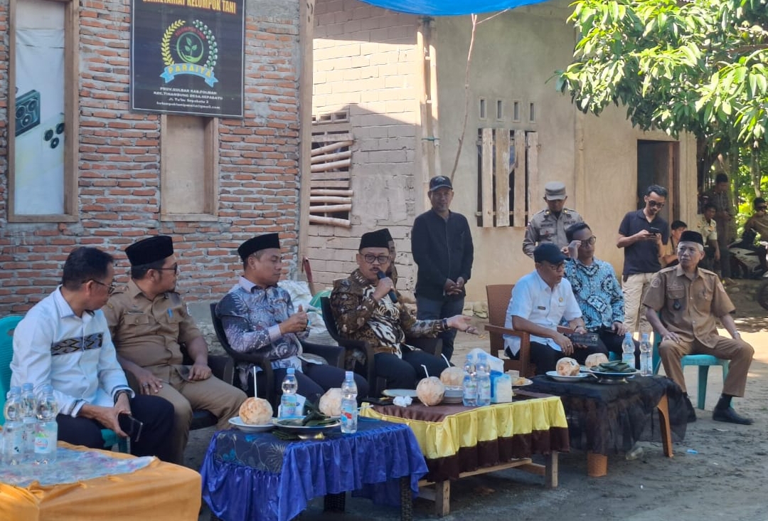 Dampingi Gubernur Tinjau Penerima Bantuan Bibit Kakao, Disbun Komitmen Beri Petani Pelayanan Terbaik