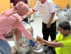 Dukung Swasembada Daging, TPHP Sulbar Salurkan 850 Dosis Semen Beku ke Peternak Majene