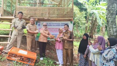 Distapang Sulbar Salurkan Bantuan Ayam KUB dan Sarana Pendukung di Kelurahan Bebanga