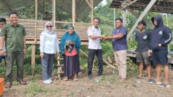 Distapang Sulbar Kembali Menyalurkan Bantuan Ayam KUB dan Sarana Pendukung di Desa Lebani