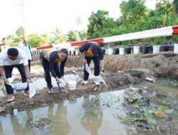 Kapolda Sulbar Tebar 5.000 Bibit Ikan Nila, Wujudkan Ketahanan Pangan Berkelanjutan di Bumi Manakarra