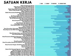 Diskes Sulbar Komitmen Tingkatkan Layanan Kesehatan Usai Raih Skor Baik dalam Asesmen Digital ASN
