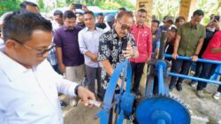 turun sawah