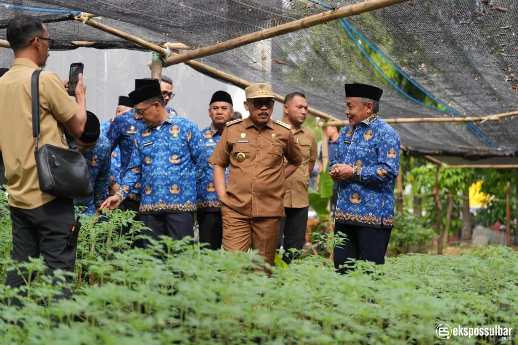 Gubernur Sulbar Tinjau Pembibitan Komoditas Pangan Dinas Ketapang, Siap Dibagikan ke Masyarakat