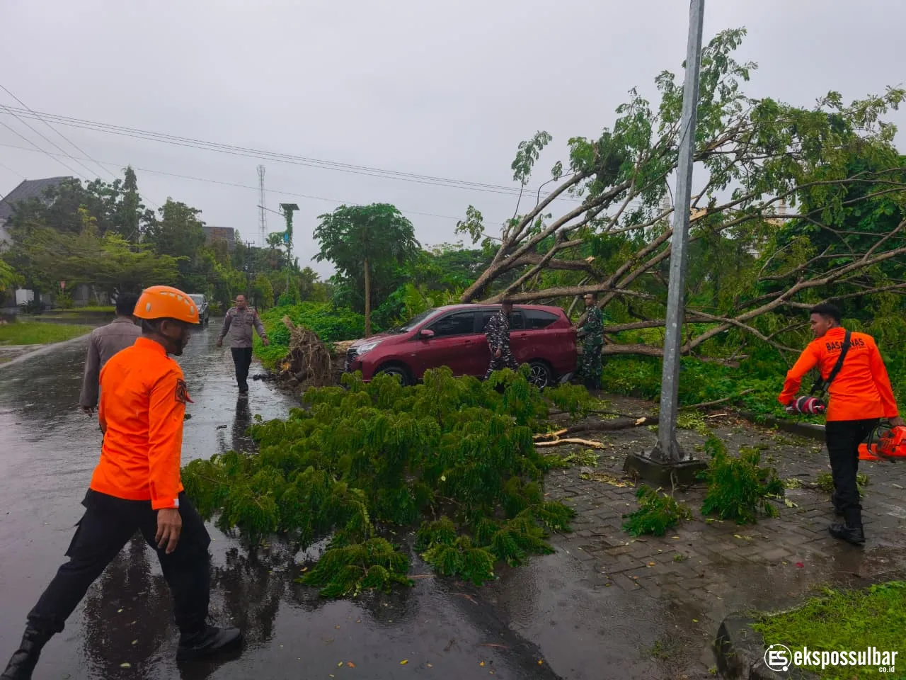 Regu 4 Posko Siaga Darurat BPBD Sulbar Respons Cepat Tangani Pohon Tumbang di Depan Kantor Dinas Perhubungan Sulbar