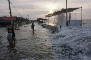 Pesisir Sulbar Berpotensi Banjir Rob 2-6 Januari 2026, BPBD Sulbar Imbau Masyarakat Tingkatkan Kewaspadaan
