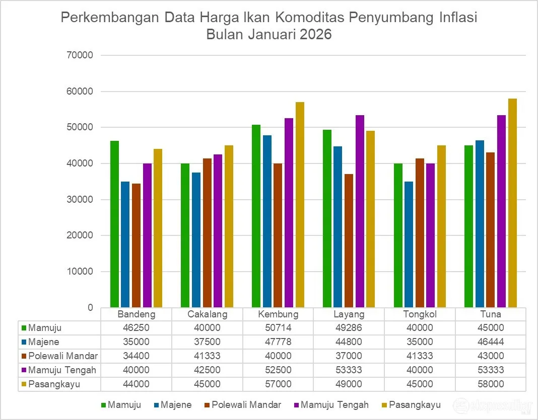 Data Terkini DKP Sulbar: Harga Ikan Kembung Capai Rp57.000/kg, Ini Faktor Penyebabnya