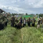 Panen Raya Bawang Merah di Kalukku, Bukti Nyata Keberhasilan Program Gubernur Sulbar