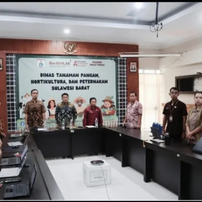 Sulbar Siapkan 12.000 Dosis Vaksin PMK, Seluruh Jajaran Petugas Kesehatan Hewan Siaga Turun ke Lapangan