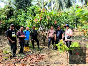 Perkuat Fondasi Perkebunan Sulbar, Pemerintah Percepat Penetapan Kebun Sumber Benih Kakao