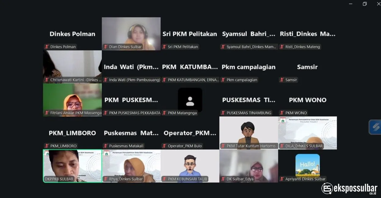 Data Akurat, Kebijakan Tepat : DKPPKB Sulbar Gelar Desk Data SDM Kesehatan untuk Perkuat Perencanaan Layanan Kesehatan