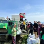 UPTD BBTPH Sulbar Mulai Panen Calon Benih Padi Inbrida Sawah di BBI Lantora, Targetkan 30 Ton Benih Berkualitas
