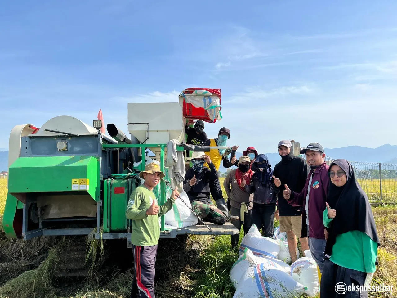 UPTD BBTPH Sulbar Mulai Panen Calon Benih Padi Inbrida Sawah di BBI Lantora, Targetkan 30 Ton Benih Berkualitas