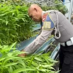 Panen Raya di Pekarangan Pangan Lestari Ditlantas, Hasilnya Dibagikan ke Pengendara Tertib Secara Gratis