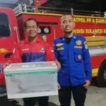 Respons Cepat Jaga Keselamatan Warga, Damkar Sulbar Amankan Ular Black Boiga