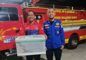 Respons Cepat Jaga Keselamatan Warga, Damkar Sulbar Amankan Ular Black Boiga