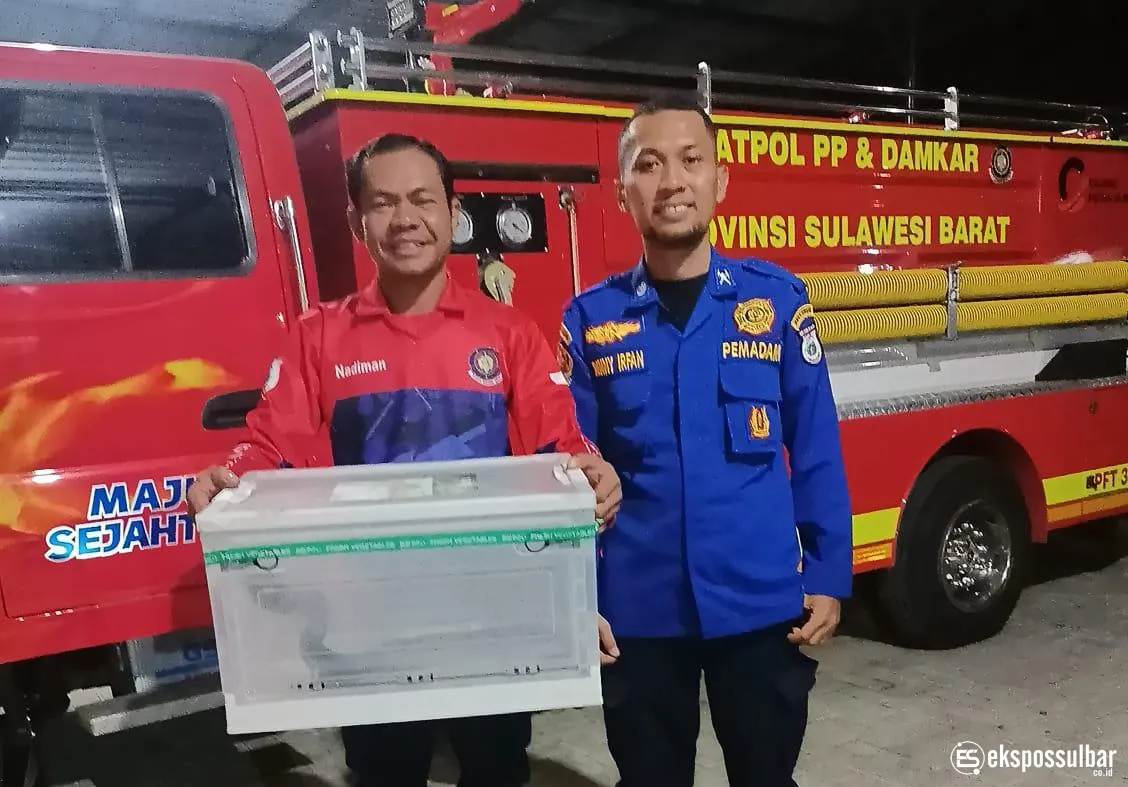 Respons Cepat Jaga Keselamatan Warga, Damkar Sulbar Amankan Ular Black Boiga