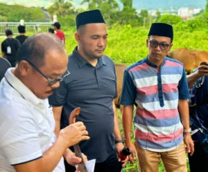 Karo Pemkesra Sulbar Dampingi Gubernur Laksanakan Penyembelihan Hewan Kurban di Halaman Rujab