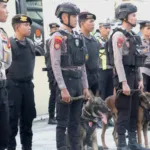 Demo BWS Sulbar Ricuh: Tim Gabungan Kerahkan Anjing Pelacak K-9 Buru Pelaku Pemukulan Polisi