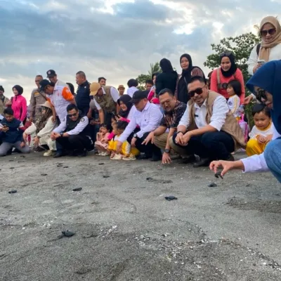 Bau Akram Dai Buka Festival Penyu Mampie 2026, Tegaskan Sinergi Pariwisata Berkelanjutan dan Pelestarian Lingkungan